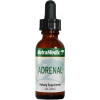 Nutramedix Adrenal, 30ml (tinktura iz amerškega ginsenga, astralagusa, šisandre in rožnega korena), prehransko dopolnilo