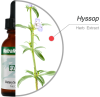 Nutramedix Ezov, 30ml (tinktura iz cvetov ožepka), prehransko dopolnilo