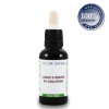 5% Lugolova raztopina 30ml