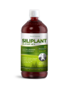 G7 Siliplant dinamiziran silicij, 1L (Rastlinska tekoča oblika silicija brez umetnih konzervansov in z naravnim izvlečkom rožmarina)