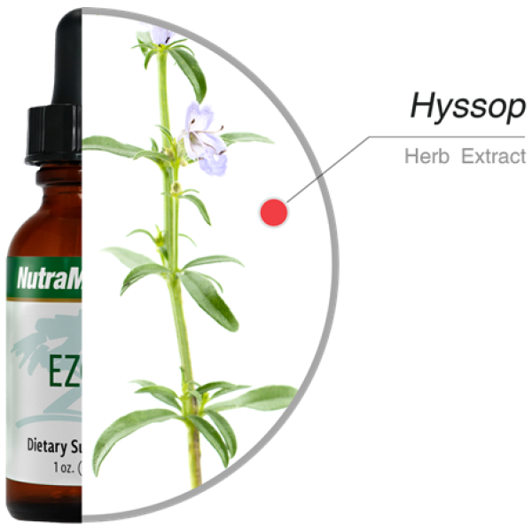 Nutramedix Ezov, 30ml (tinktura iz cvetov ožepka)